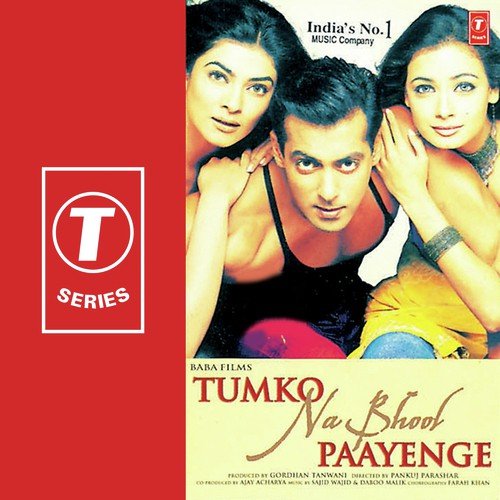 Tumko Na Bhool Paayenge (2002) (Hindi)